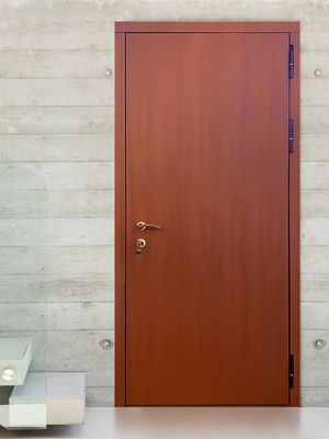 Дверь с МДФ панелью Дверь с МДФ панелью